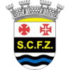 Ferreira Zezere