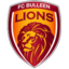 FC Bulleen Lions