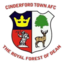 Cinderford Town