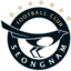 Seongnam FC