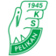 Pelikan Lowicz
