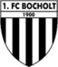 Bocholt FC