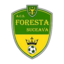 ACS Foresta Suceava