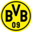 Borussia Dortmund (Youth)