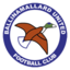 Ballinamallard United