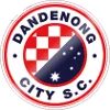 Logo Dandenong City SC