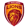 FC Bulleen Lions