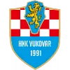 Logo HNK Vukovar 91