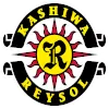 Logo Kashiwa Reysol