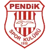 Logo Pendikspor