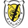 Logo Radomlje