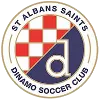 St Albans Saints