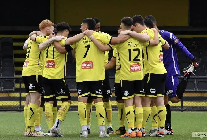 Dự đoán và phân tích kèo Heidelberg United đối đầu Avondale, 16h30 ngày 24/4: Chinh phục 3 điểm trên sân khách