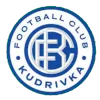 Logo Kudrivka