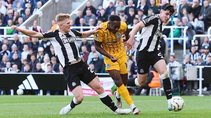 Phân tích và dự đoán kết quả Newcastle gặp Brighton, 21h00 ngày 2/5: Gục ngã trước sức mạnh của Chích chòe