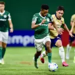 Phân tích và dự đoán trận đấu Palmeiras gặp Cerro Porteno, 7h30 ngày 21/5: Thách thức không nhỏ
