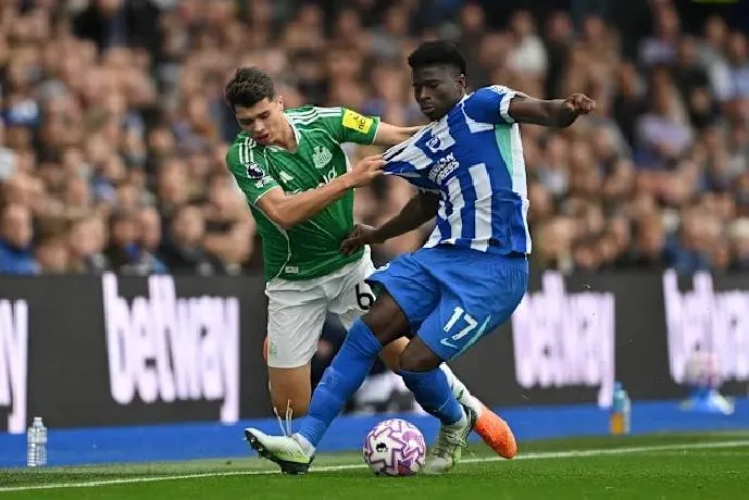 Dự đoán của siêu máy tính cho trận Newcastle tiếp đón Brighton vào lúc 21h00 ngày 2/5