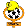 Logo Cobresal