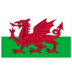 Logo U19 Wales