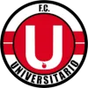 Universitario De Vinto