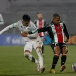 Phân tích kèo trận Audax Italiano tiếp đón Palestino, 5h00 ngày 1/7: Khó khăn cho đội chủ nhà
