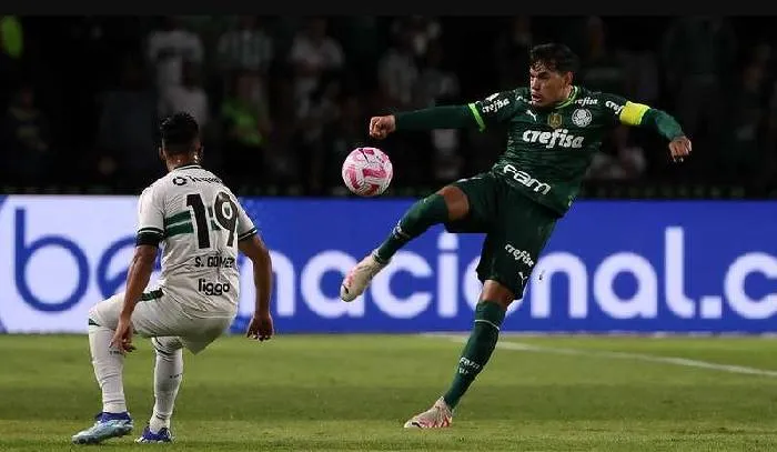 Dự đoán tỷ số trận Coritiba và Palmeiras, 5h30 ngày 23/07 – Giải VĐQG Brazil