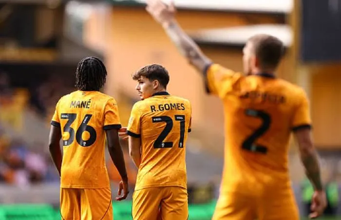 Phân tích kèo thẻ phạt trận Wolves đối đầu Blackburn Rovers lúc 02h00 ngày 15/08: Cuộc chiến không khoan nhượng